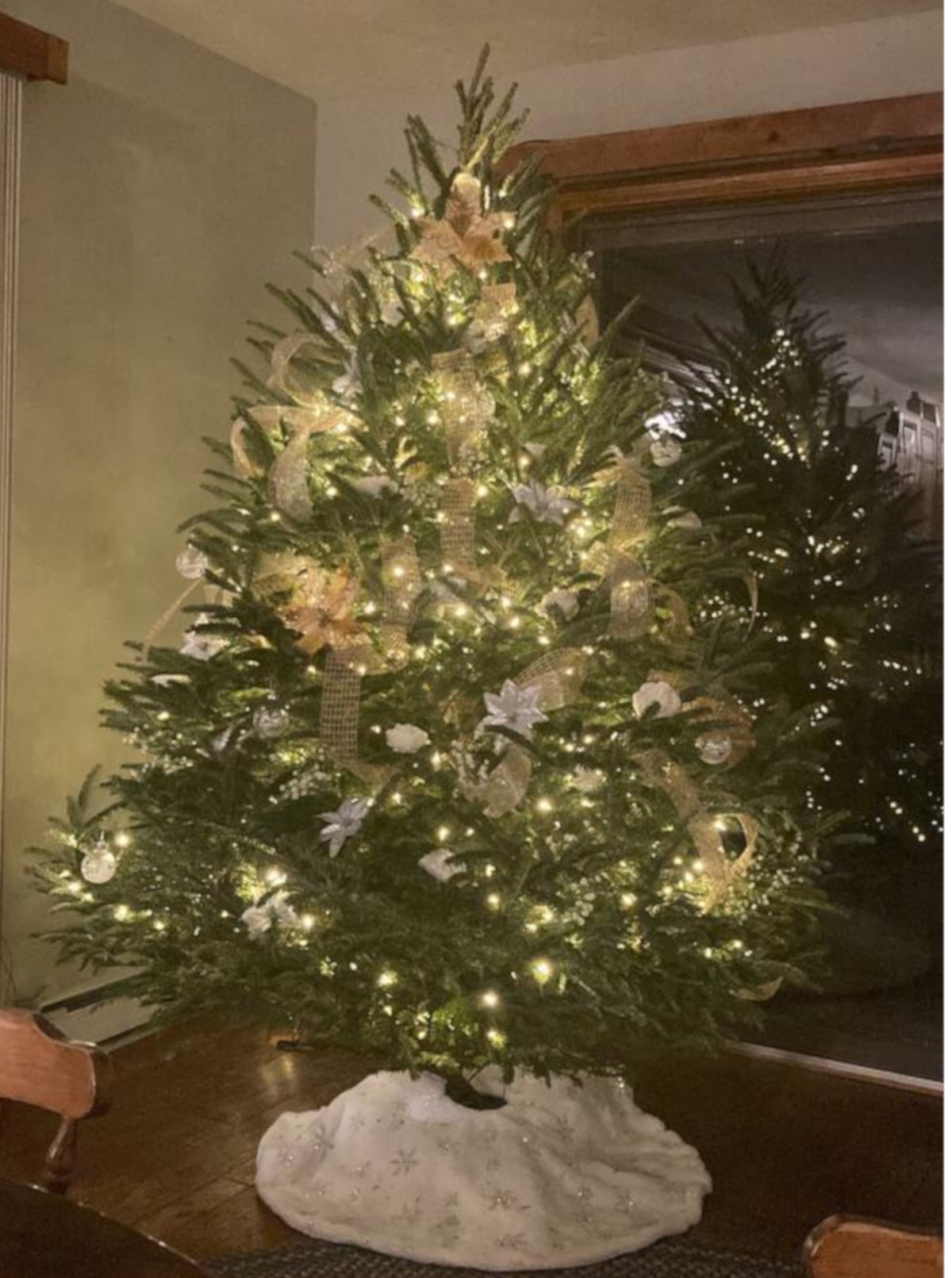 6 Foot Fresh Premium Fraser Fir Christmas Tree