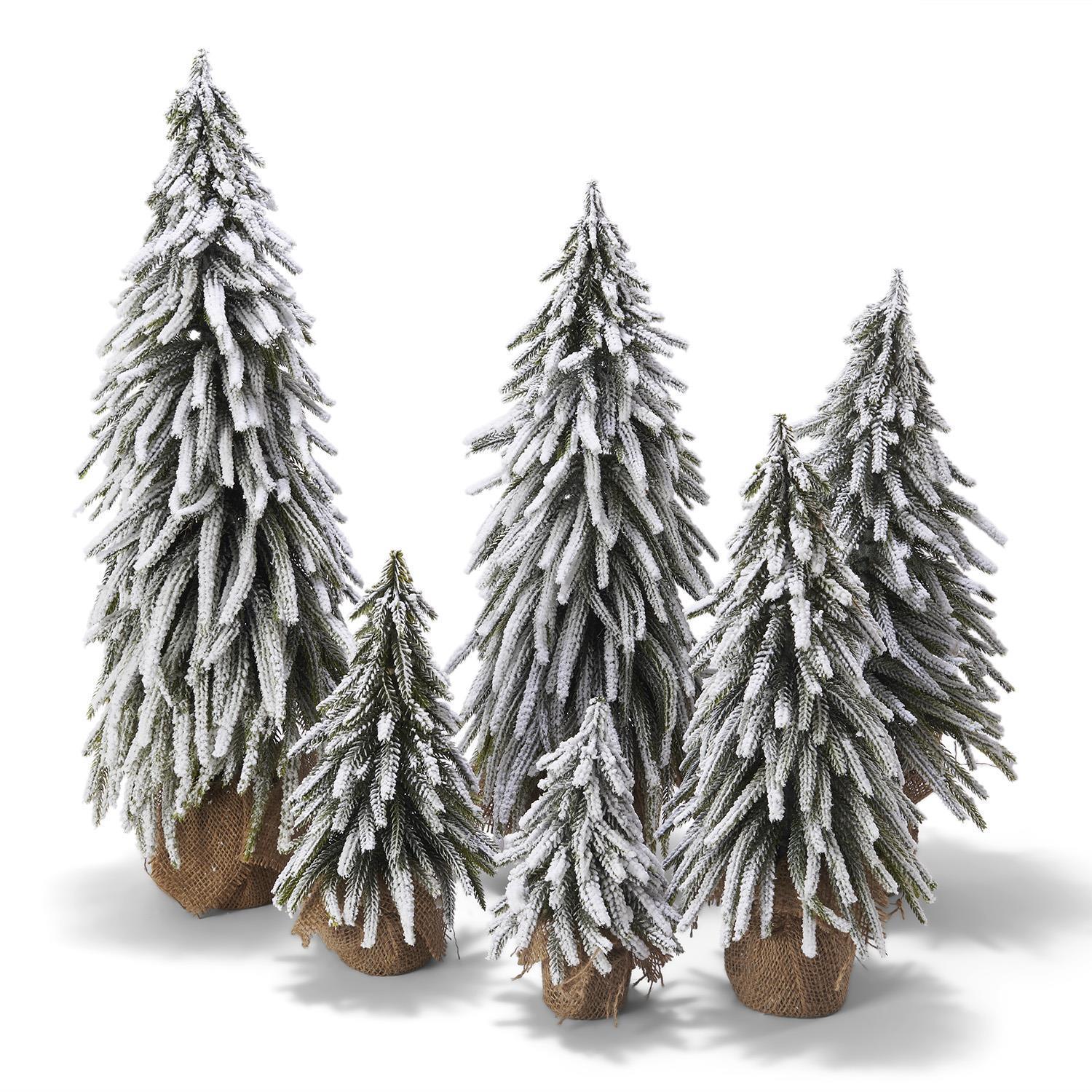 Snow Covered Trees OG