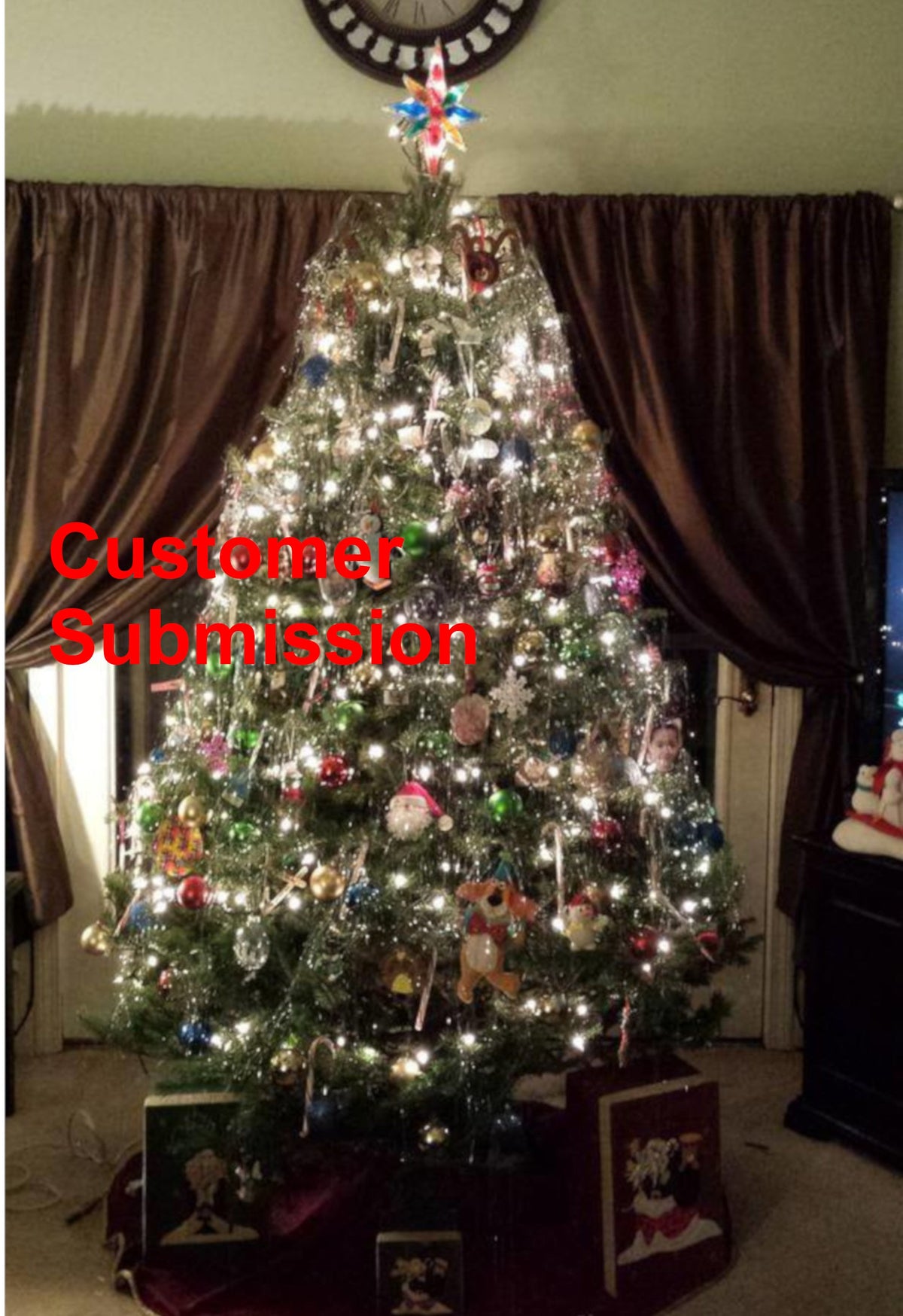 7 Foot Fresh Balsam-Fraser Fir Hybrid Christmas Tree